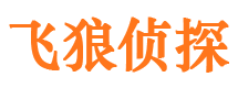 索县外遇调查取证